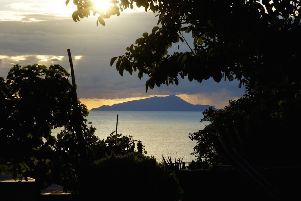 Villa Bikini On Sorrento Coast 维克艾库塞 外观 照片